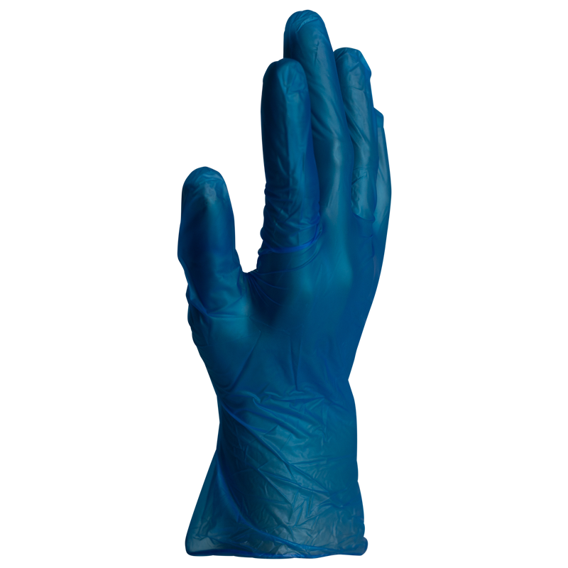 Blue Vinyl Powder Free Gloves Large