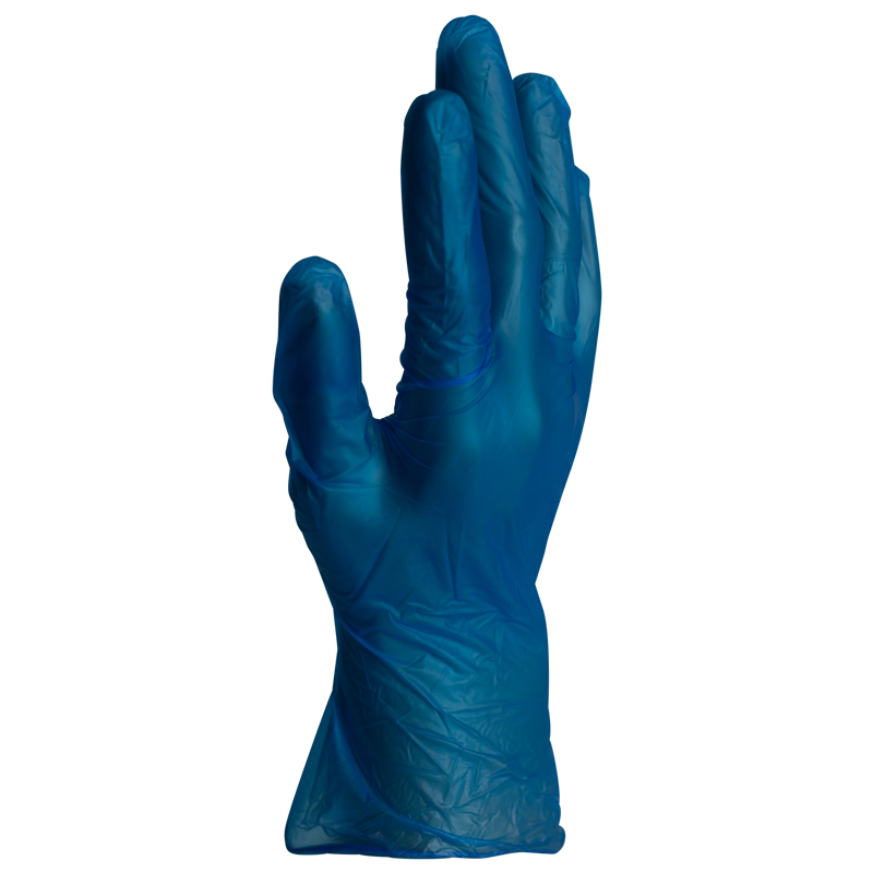 Blue Vinyl Powder Free Gloves Extra-Large